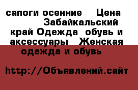 сапоги осенние  › Цена ­ 1 200 - Забайкальский край Одежда, обувь и аксессуары » Женская одежда и обувь   